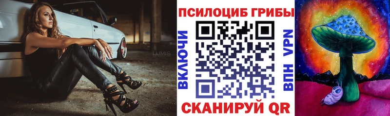 Псилоцибиновые грибы Psilocybine cubensis  Приморск 